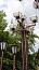 Кованый фонарь №32